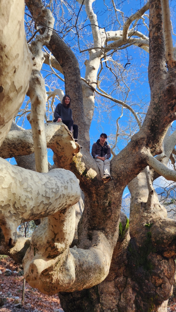 Фото из похода