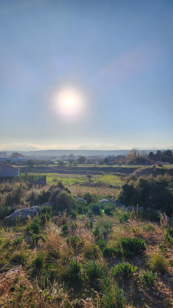 Фото из похода