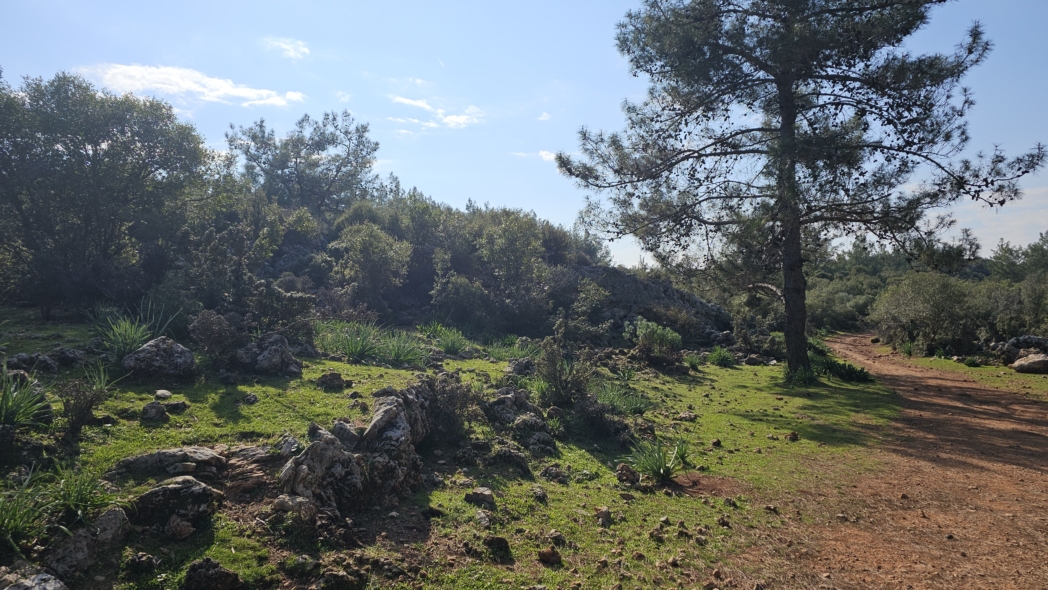 Фото из похода