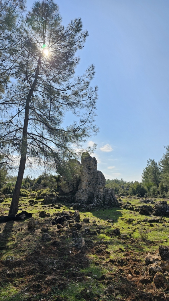 Фото из похода