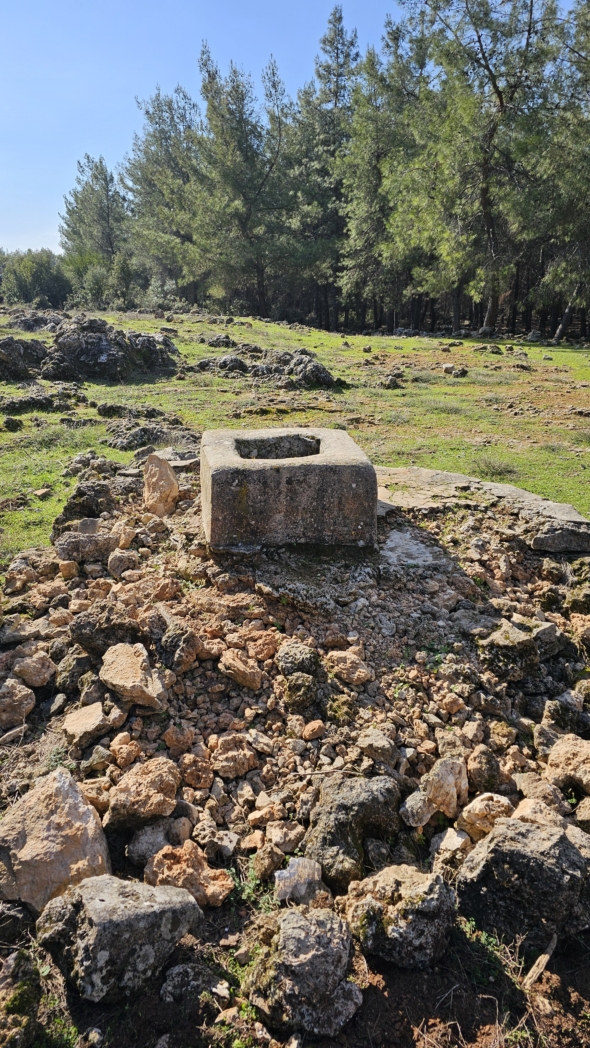 Фото из похода