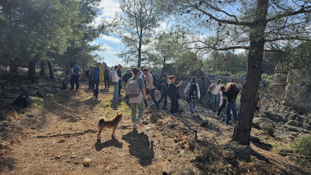 Фото из похода