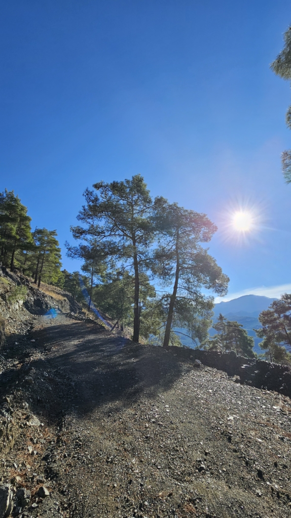 Фото из похода