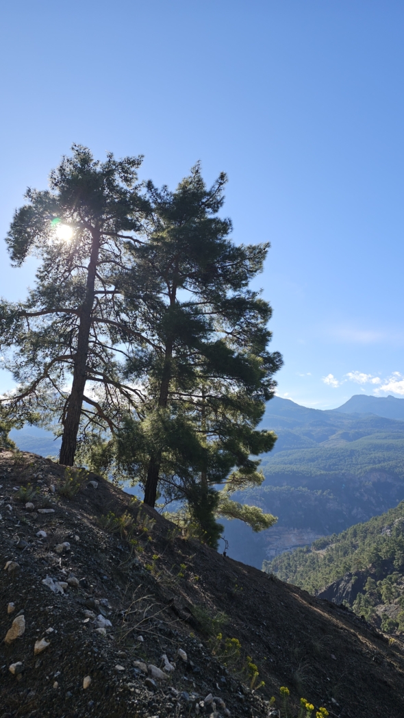 Фото из похода