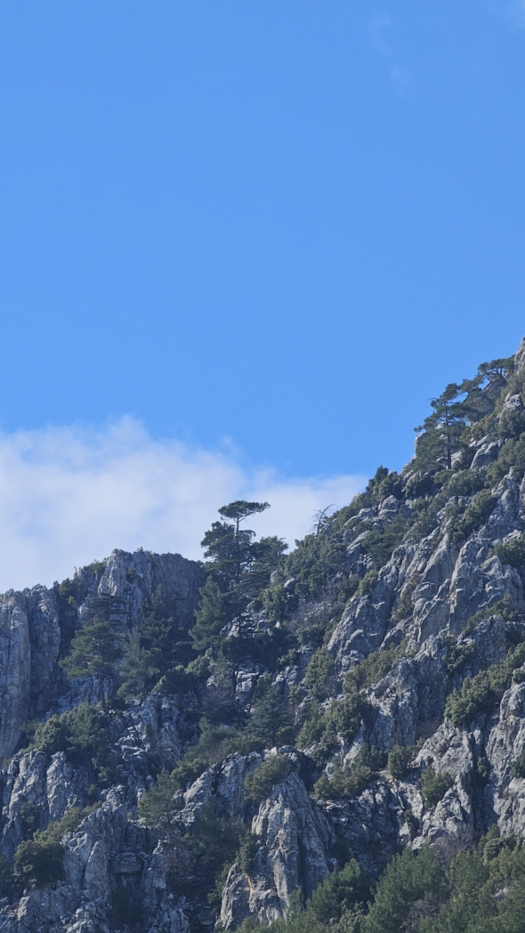 Фото из похода