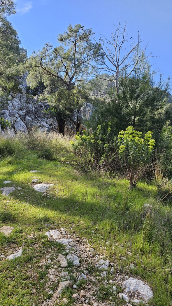 Фото из похода