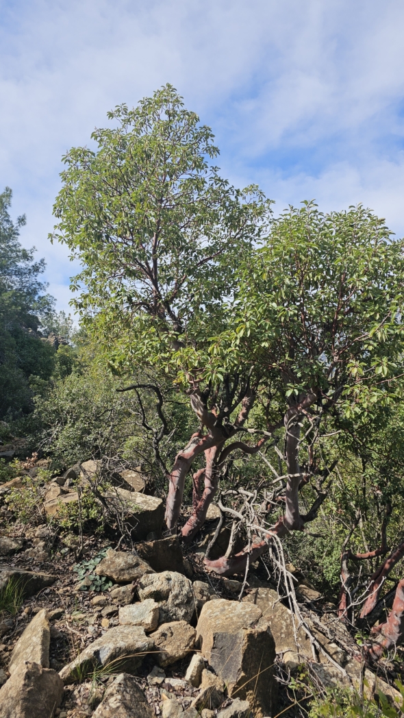 Фото из похода