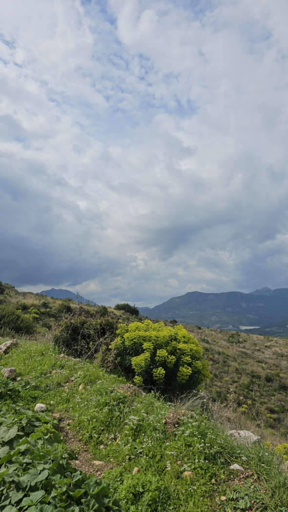 Фото из похода