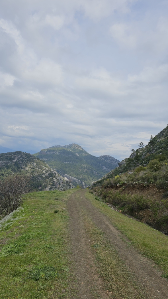 Фото из похода