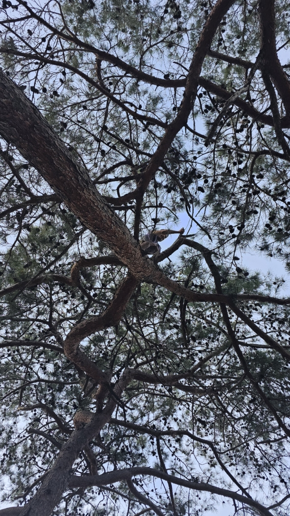 Фото из похода