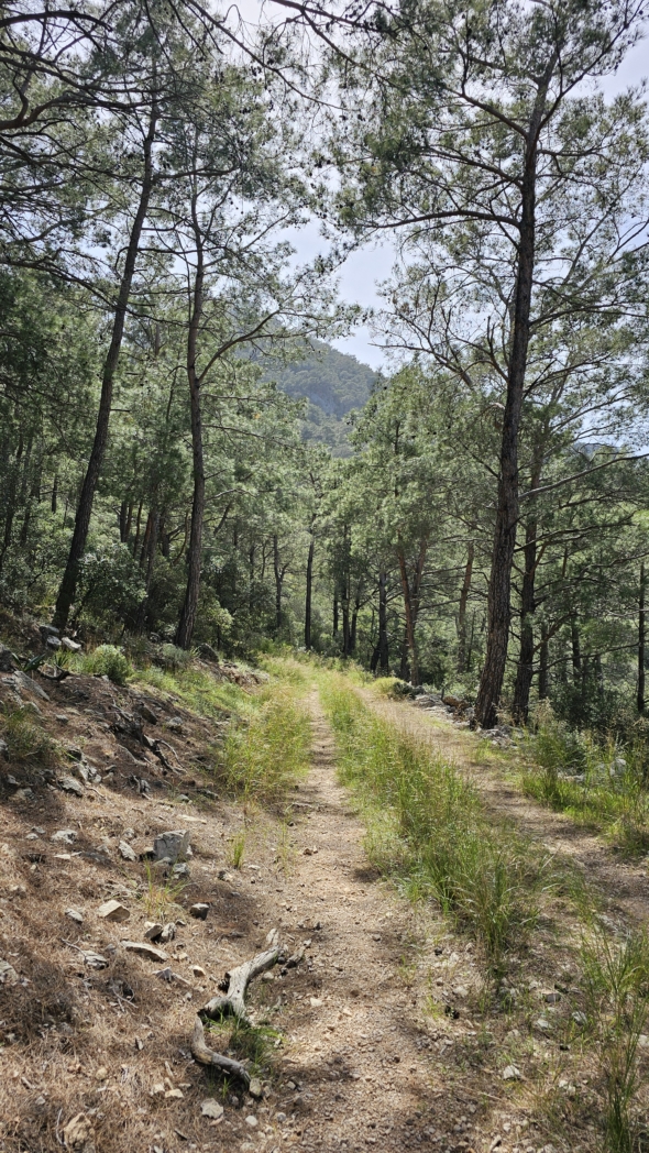 Фото из похода