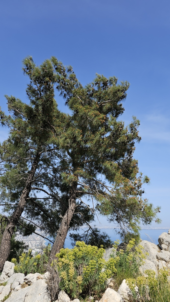 Фото из похода