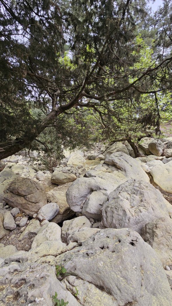 Фото из похода