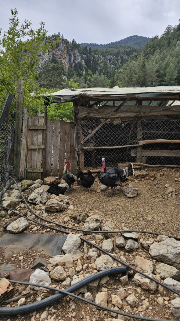 Фото из похода