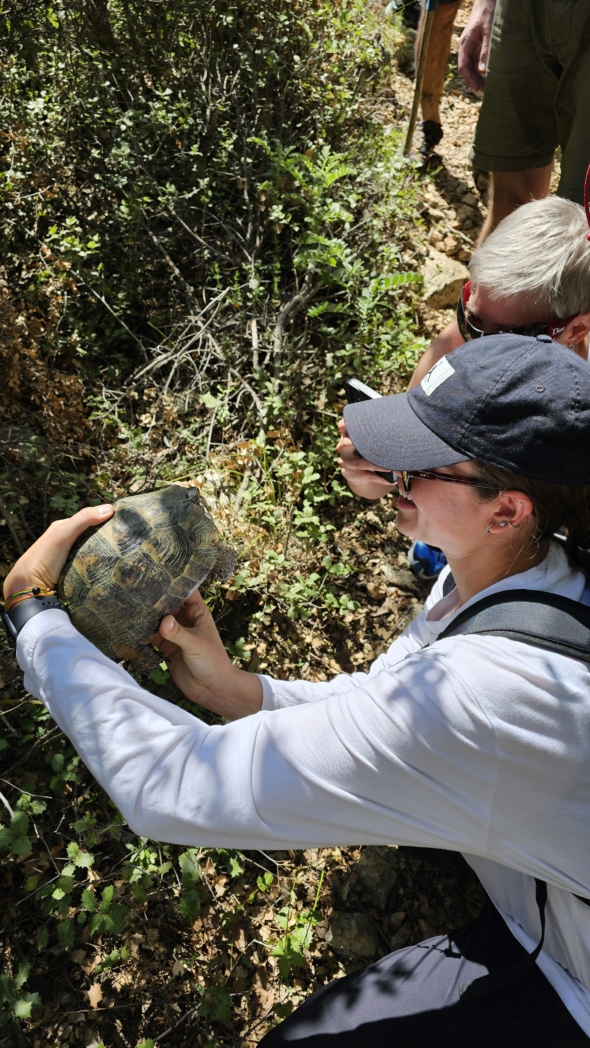 Фото из похода