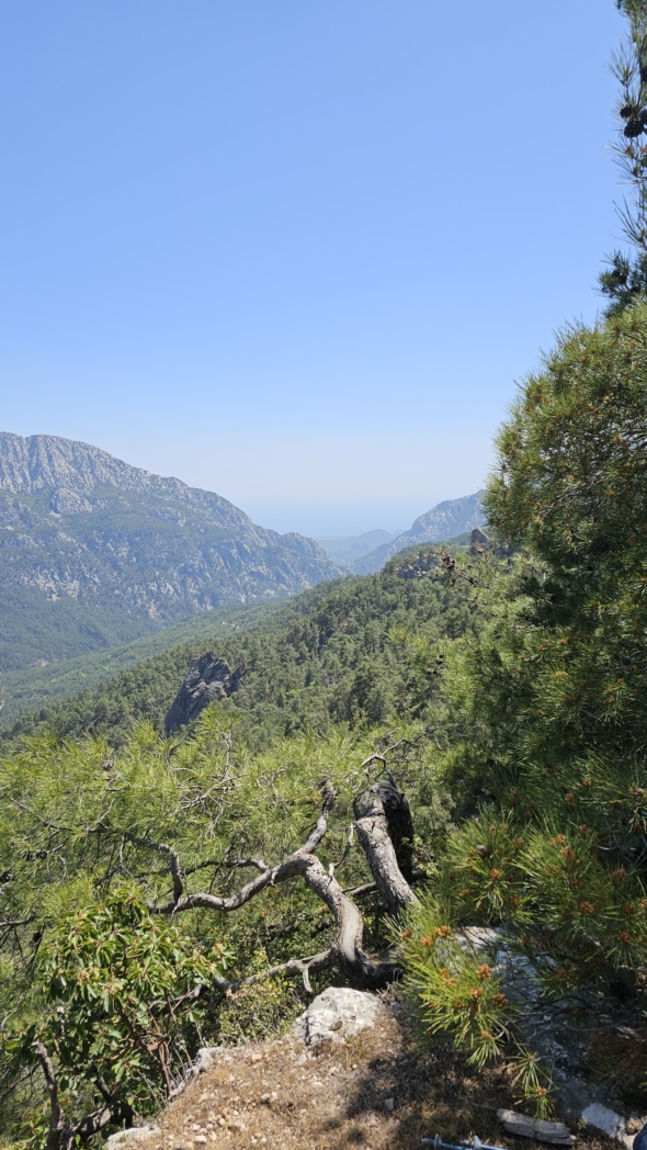 Фото из похода