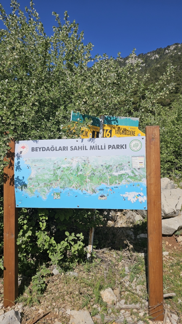 Фото из похода