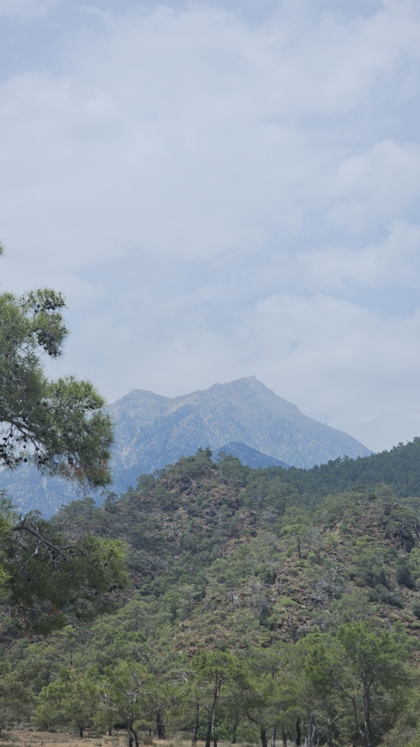 Фото из похода