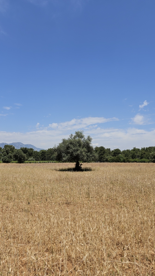 Фото из похода