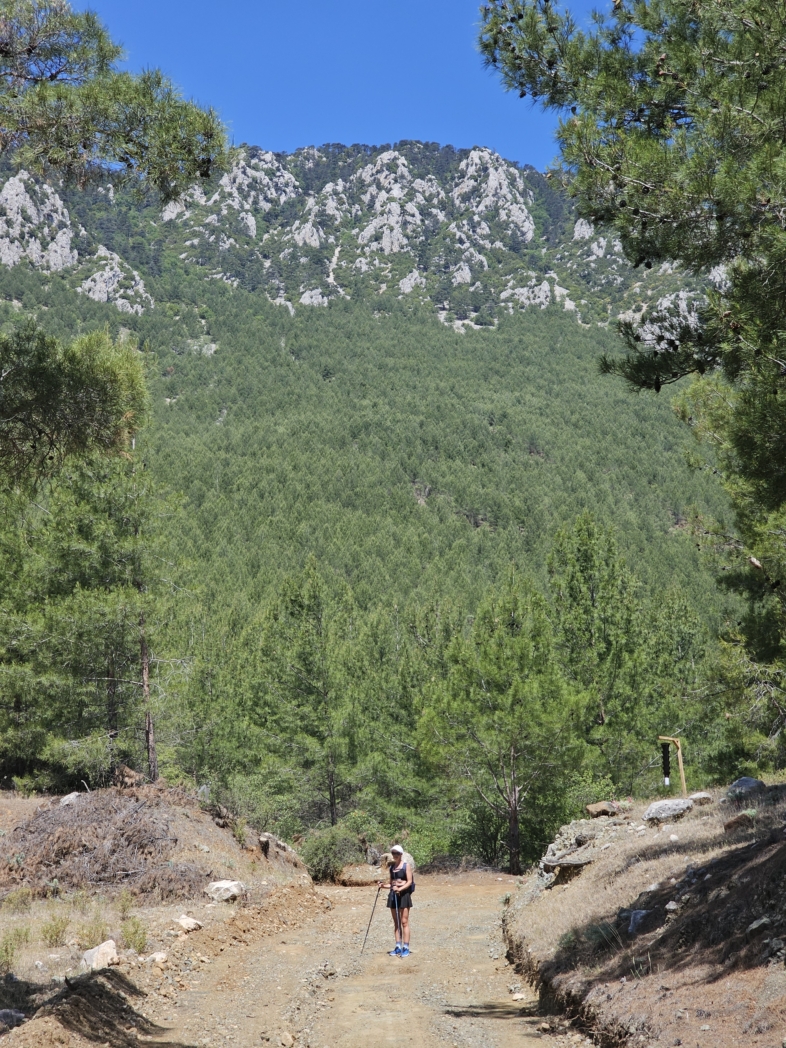 Фото из похода