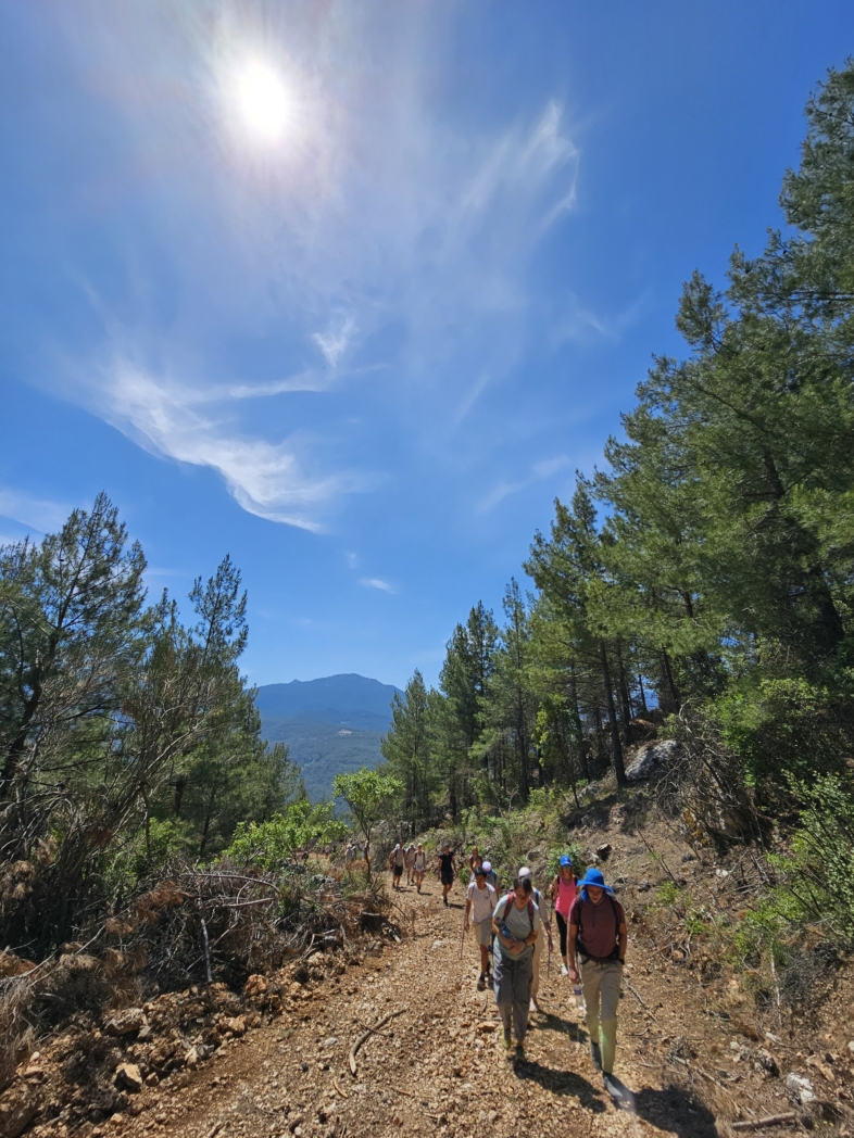 Фото из похода