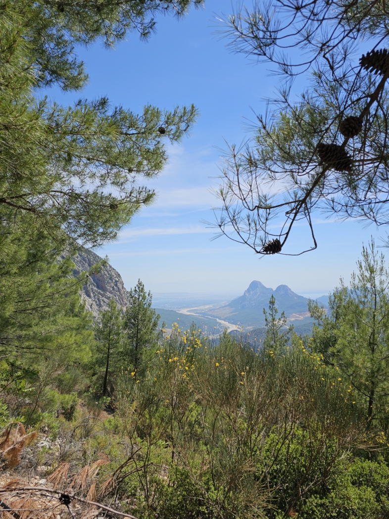 Фото из похода