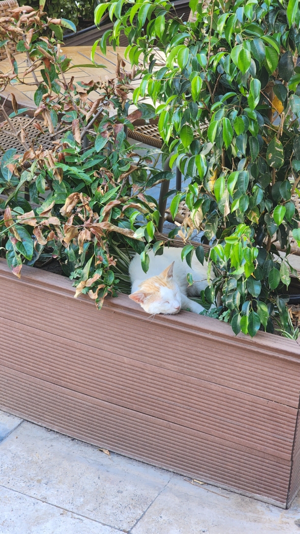 Фото из похода