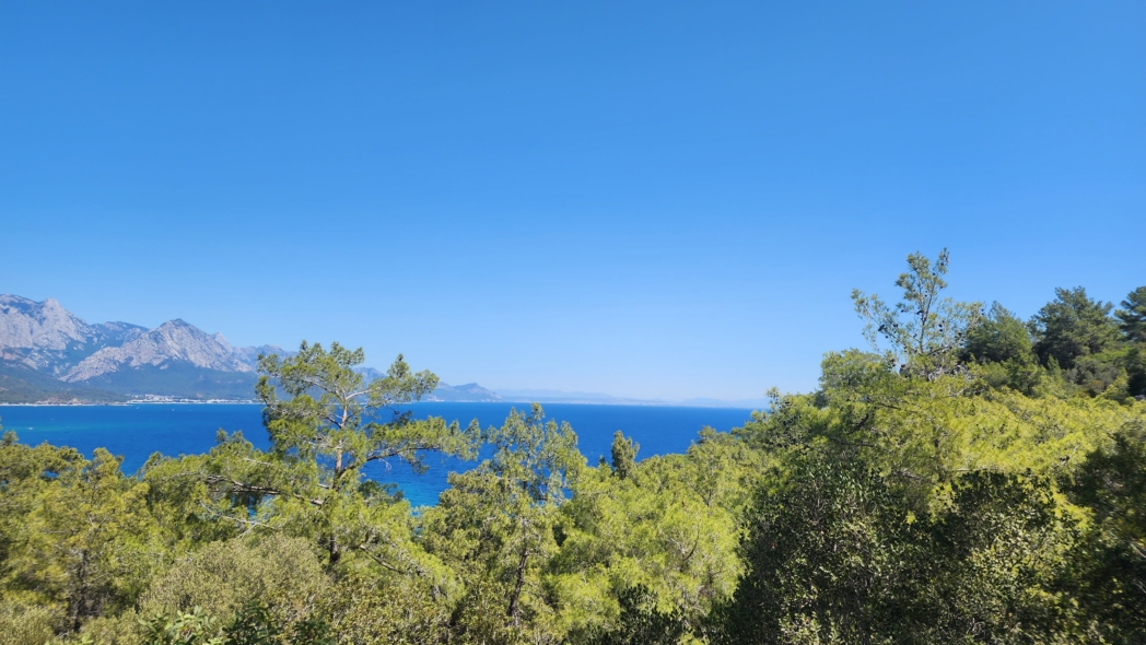 Фото из похода