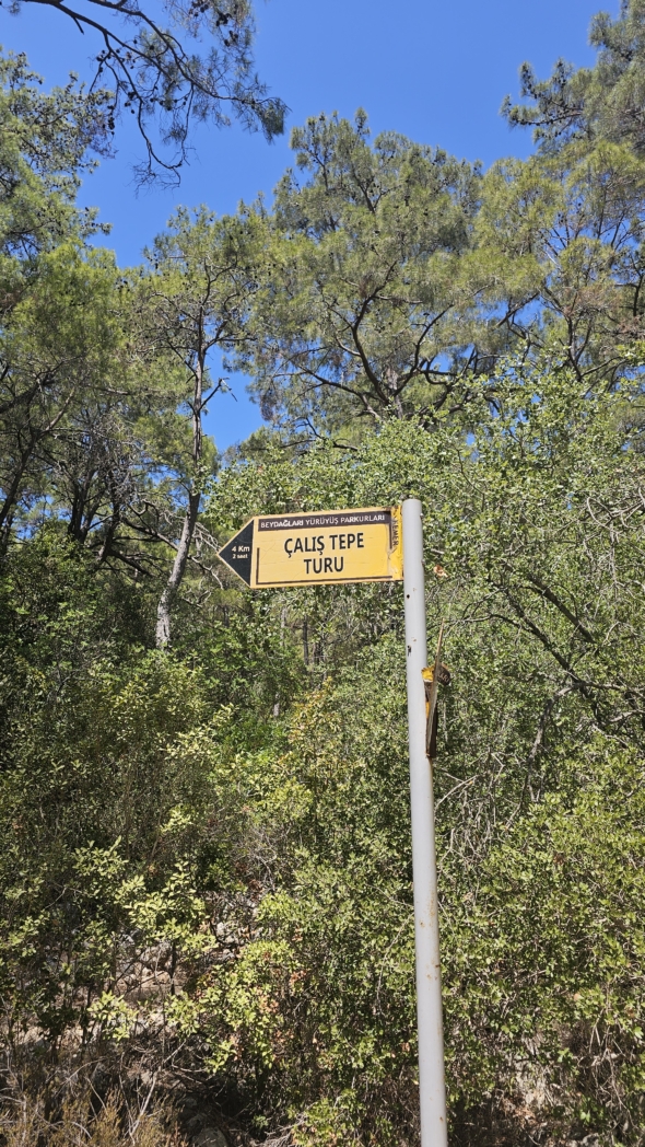 Фото из похода