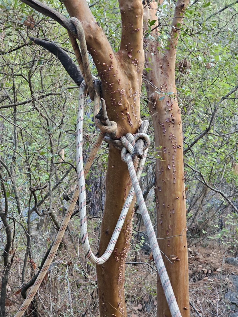 Фото из похода