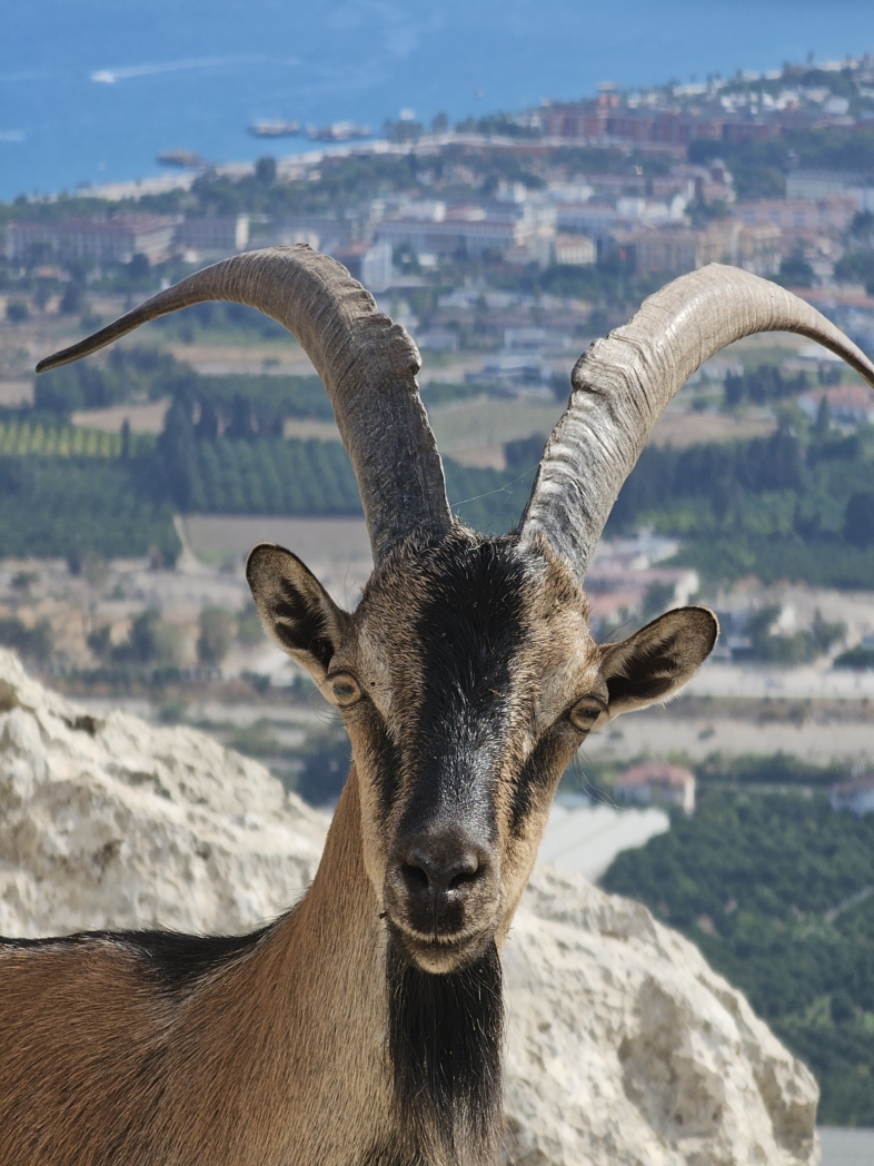 Фото из похода