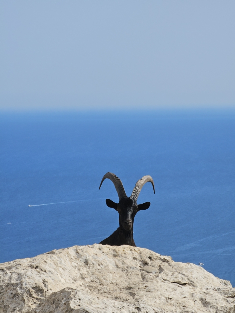 Фото из похода