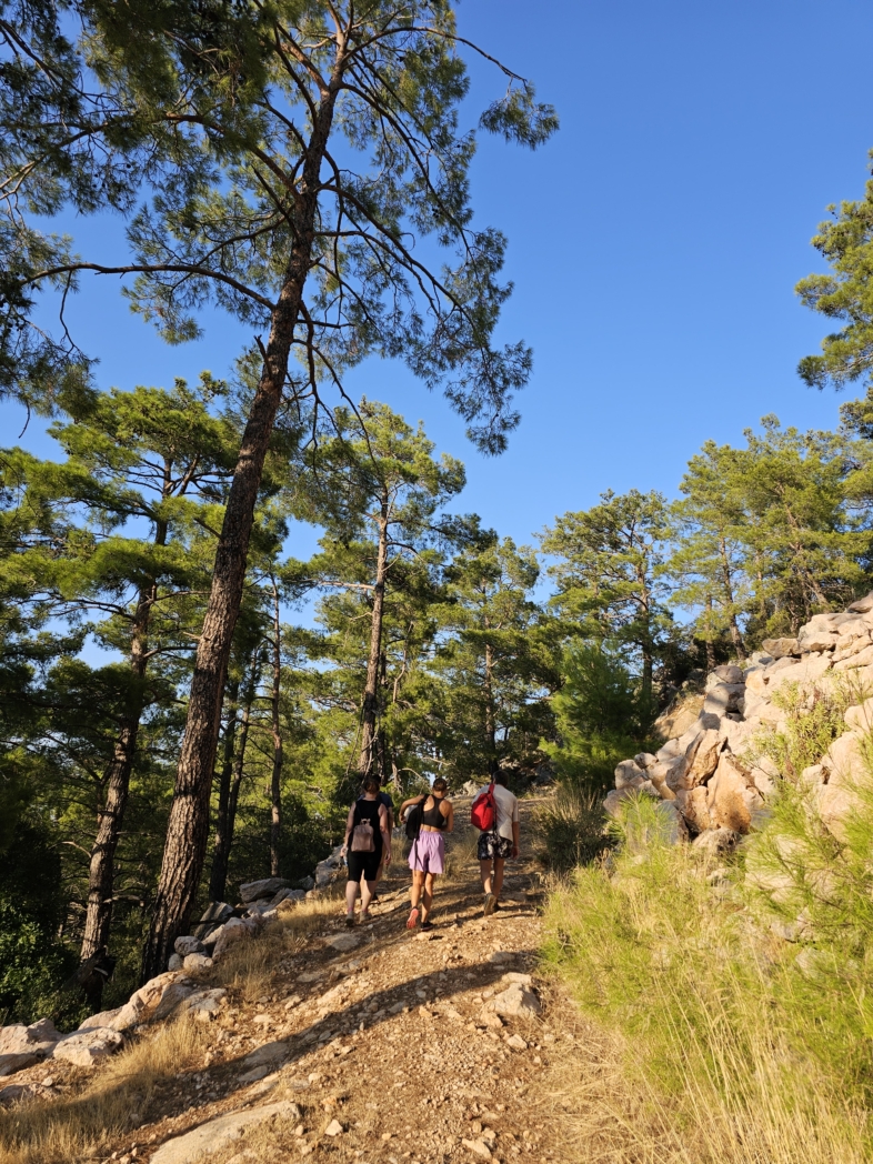 Фото из похода