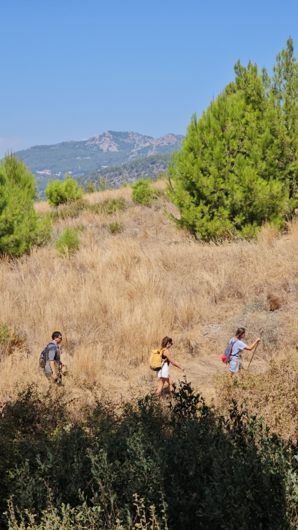 Фото из похода