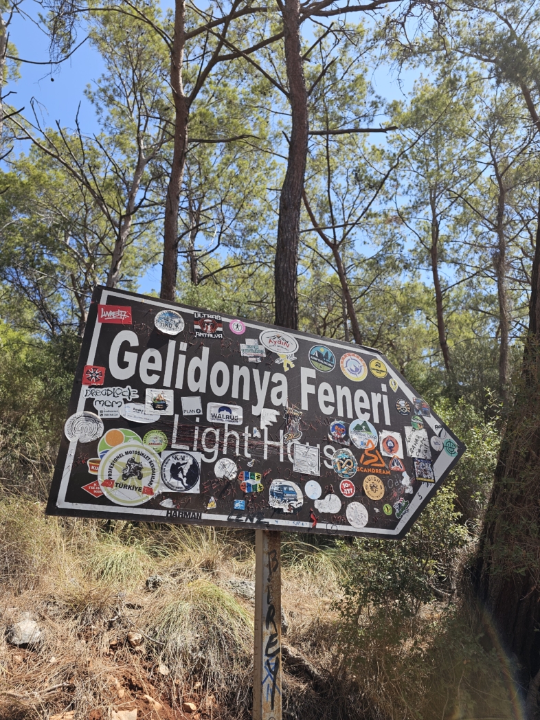 Фото из похода