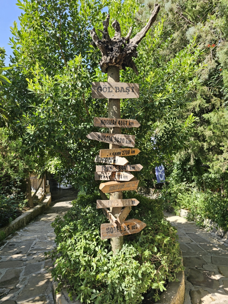 Фото из похода