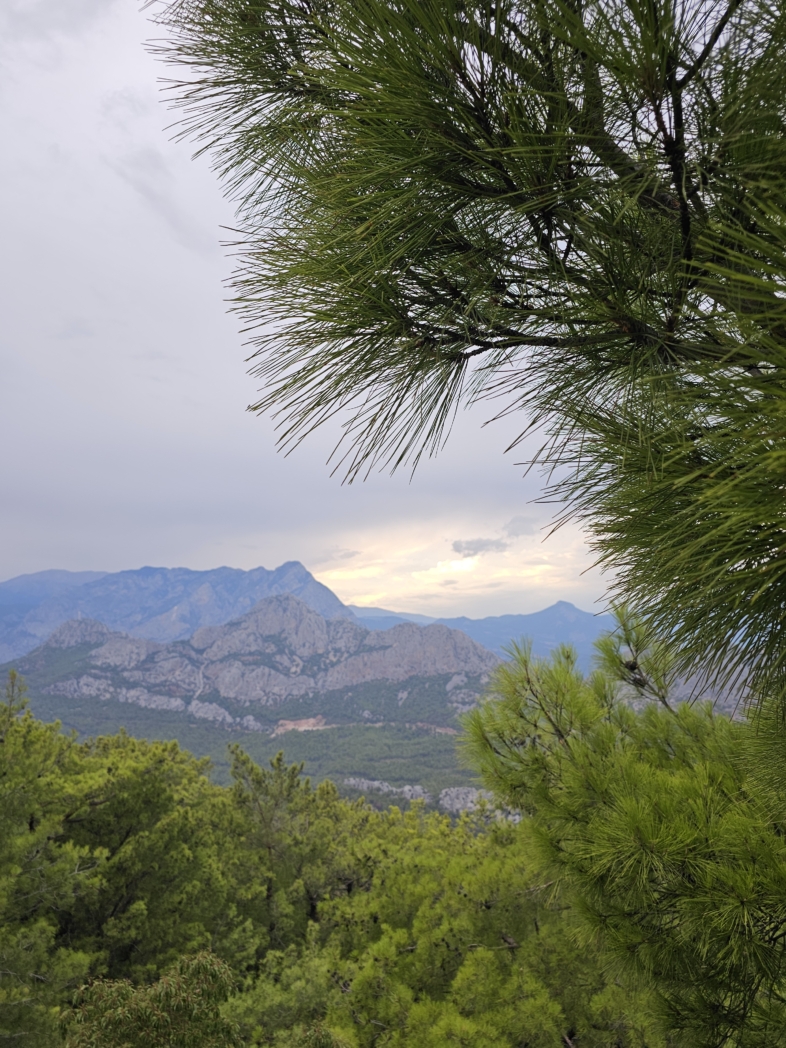 Фото из похода