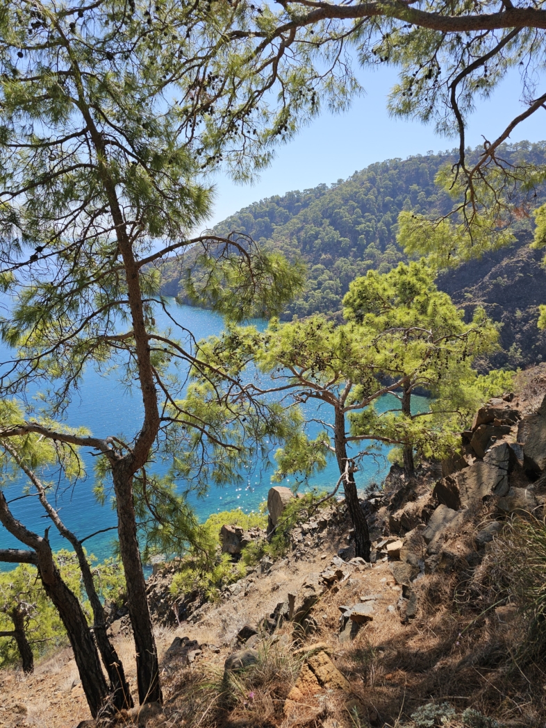 Фото из похода