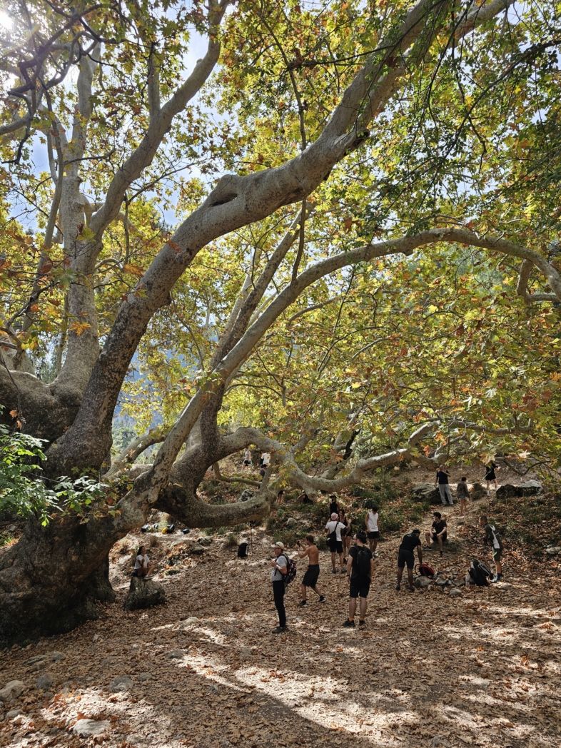 Фото из похода