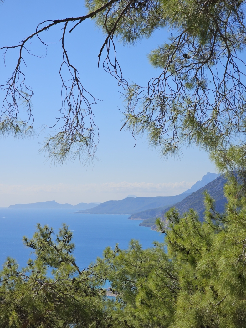 Фото из похода