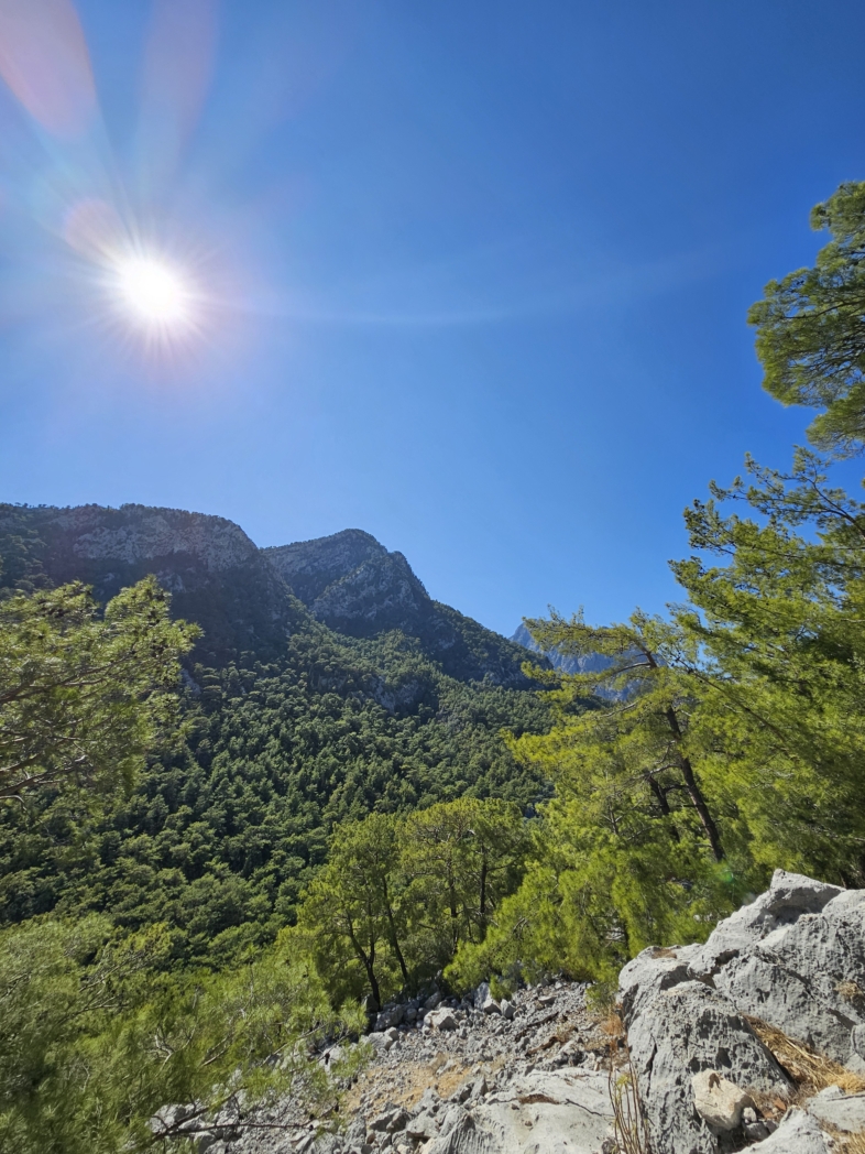 Фото из похода