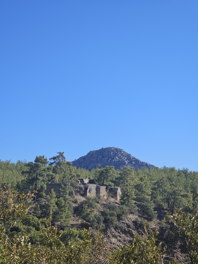 Фото из похода