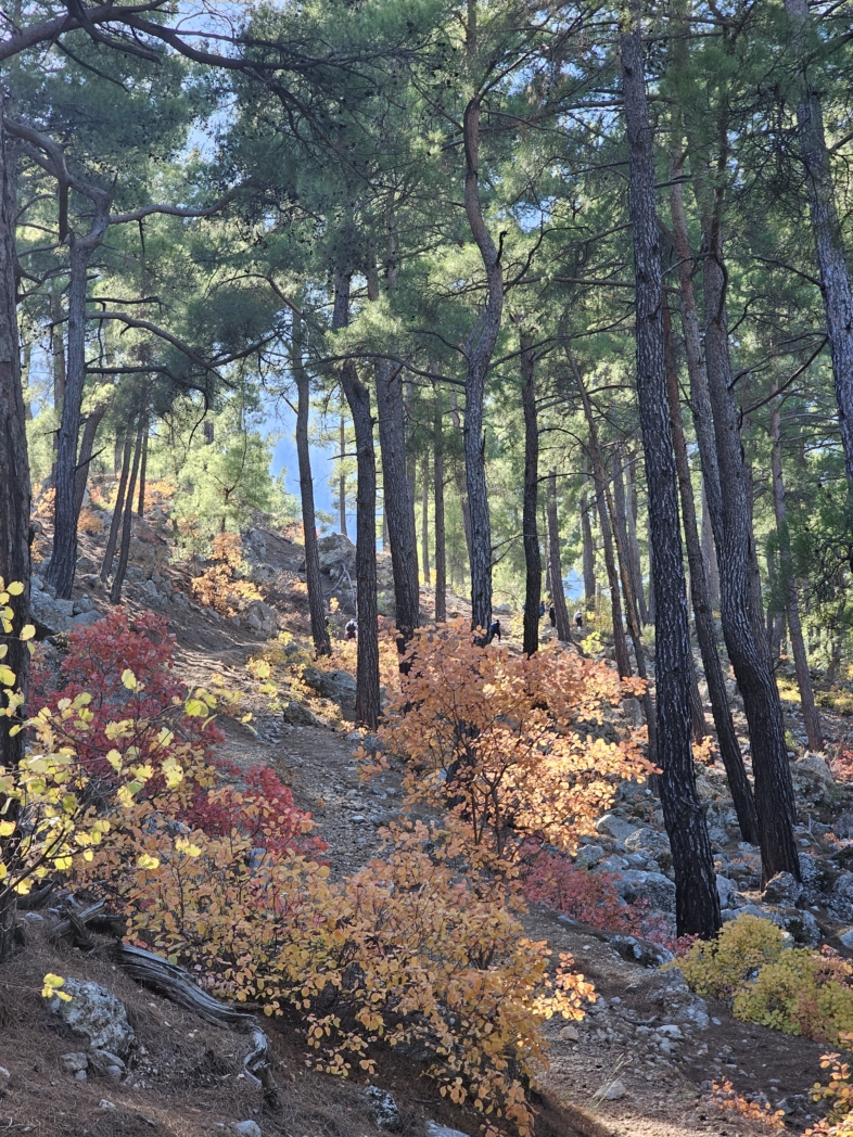 Фото из похода