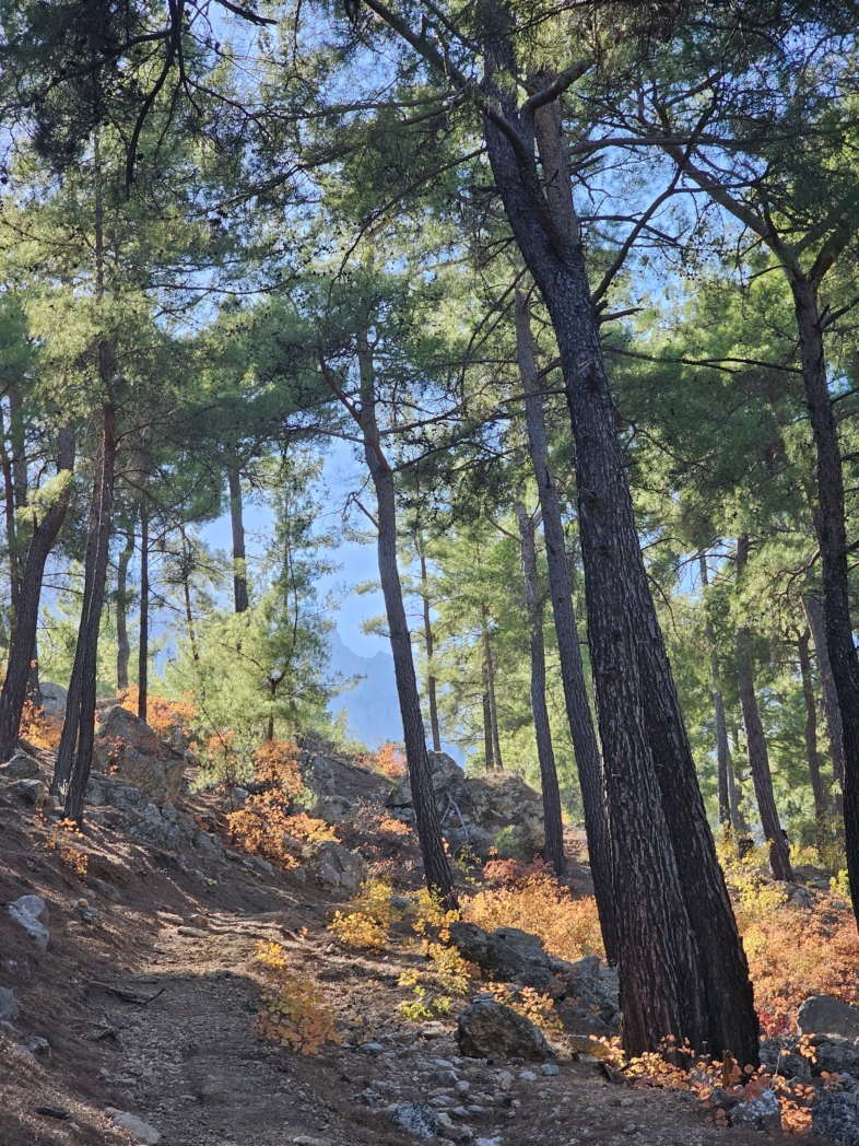 Фото из похода