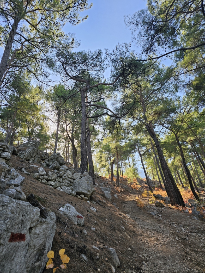 Фото из похода