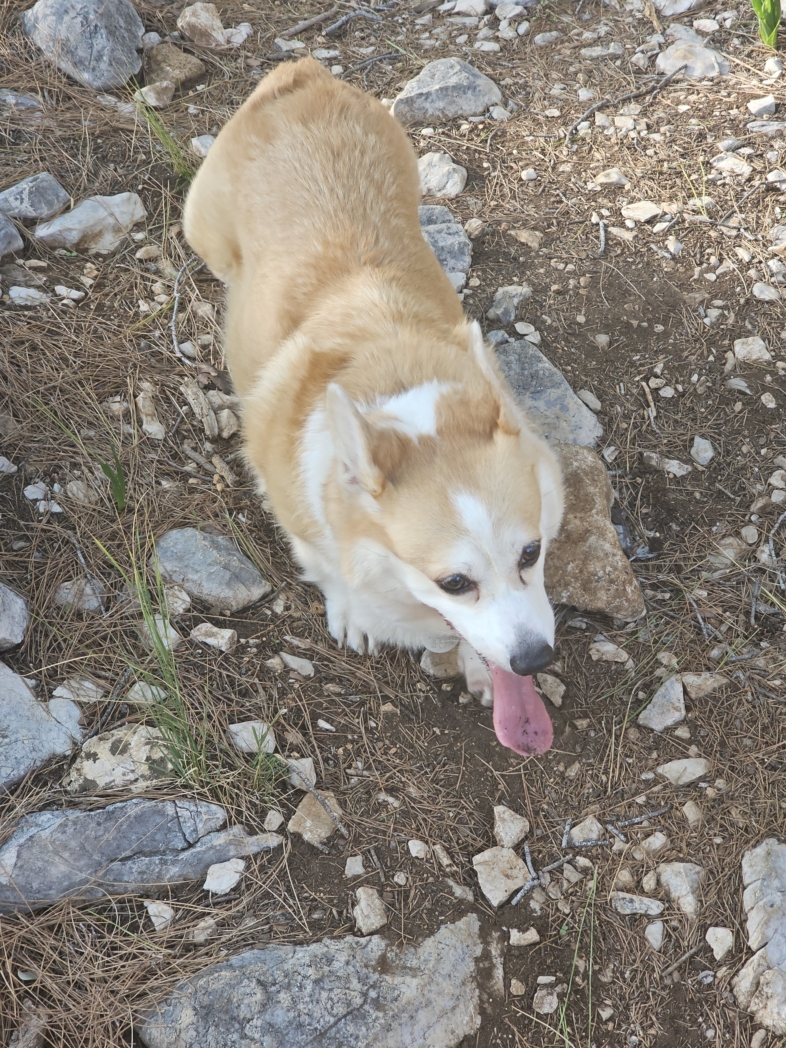 Фото из похода