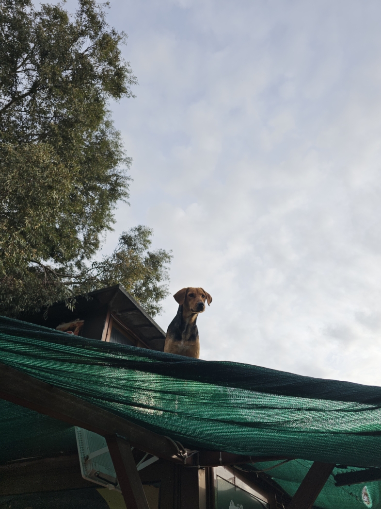 Фото из похода