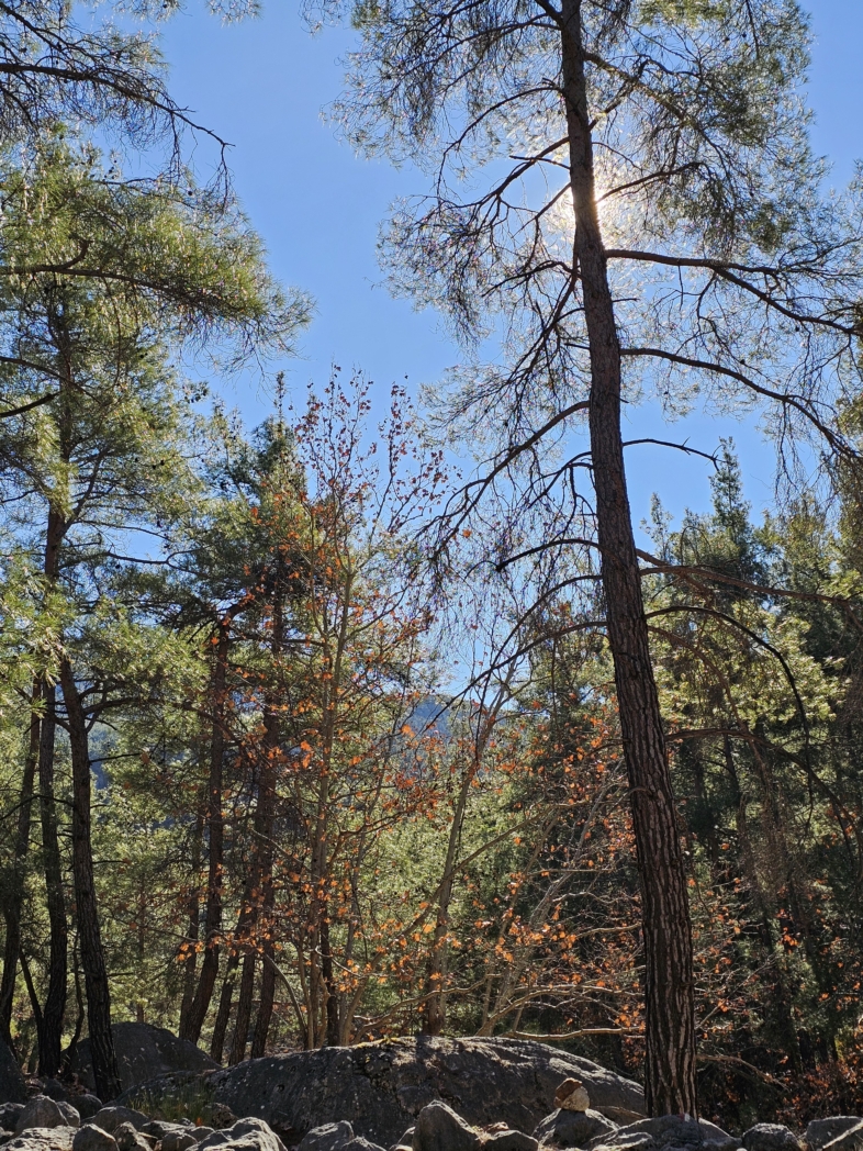 Фото из похода