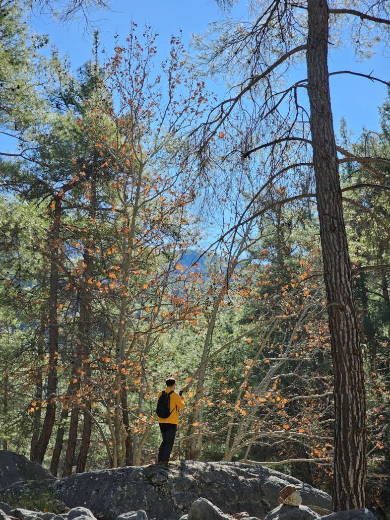 Фото из похода