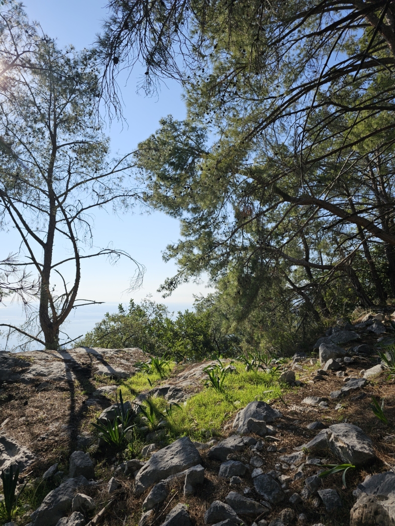 Фото из похода